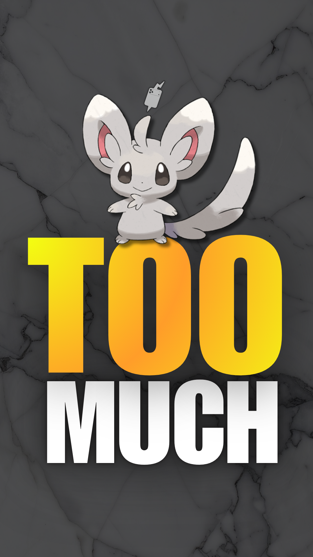 Minccino daily video